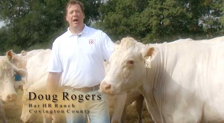 Meet Doug Rogers