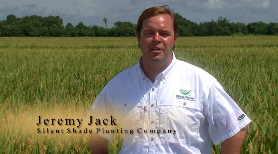 Meet Jeremy Jack