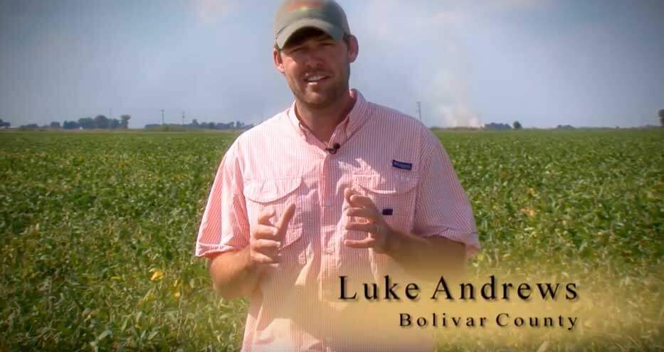Meet Luke Andrews