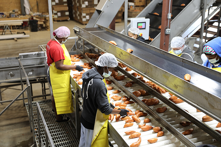 The local affects COVID-19 had on the sweet potato industry