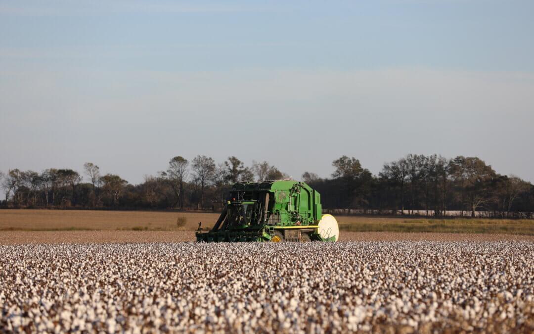 Learn How Mississippi Farmers Utilize Technology