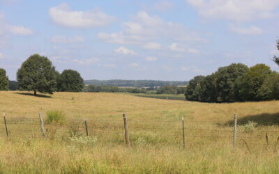 Learn How Mississippi Farmers are Protecting the Environment