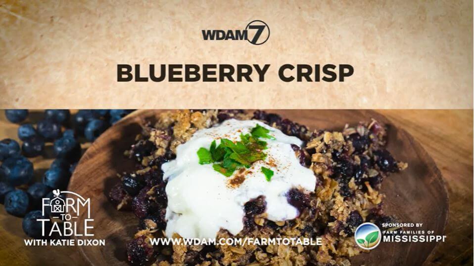 Katie Dixon’s Blueberry Crisp Recipe