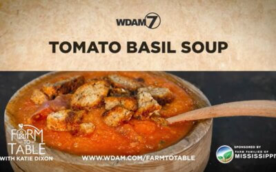 Katie Dixon’s Tomato Basil Soup Recipe