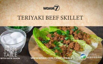 Katie Dixon’s Teriyaki Beef Skillet Recipe